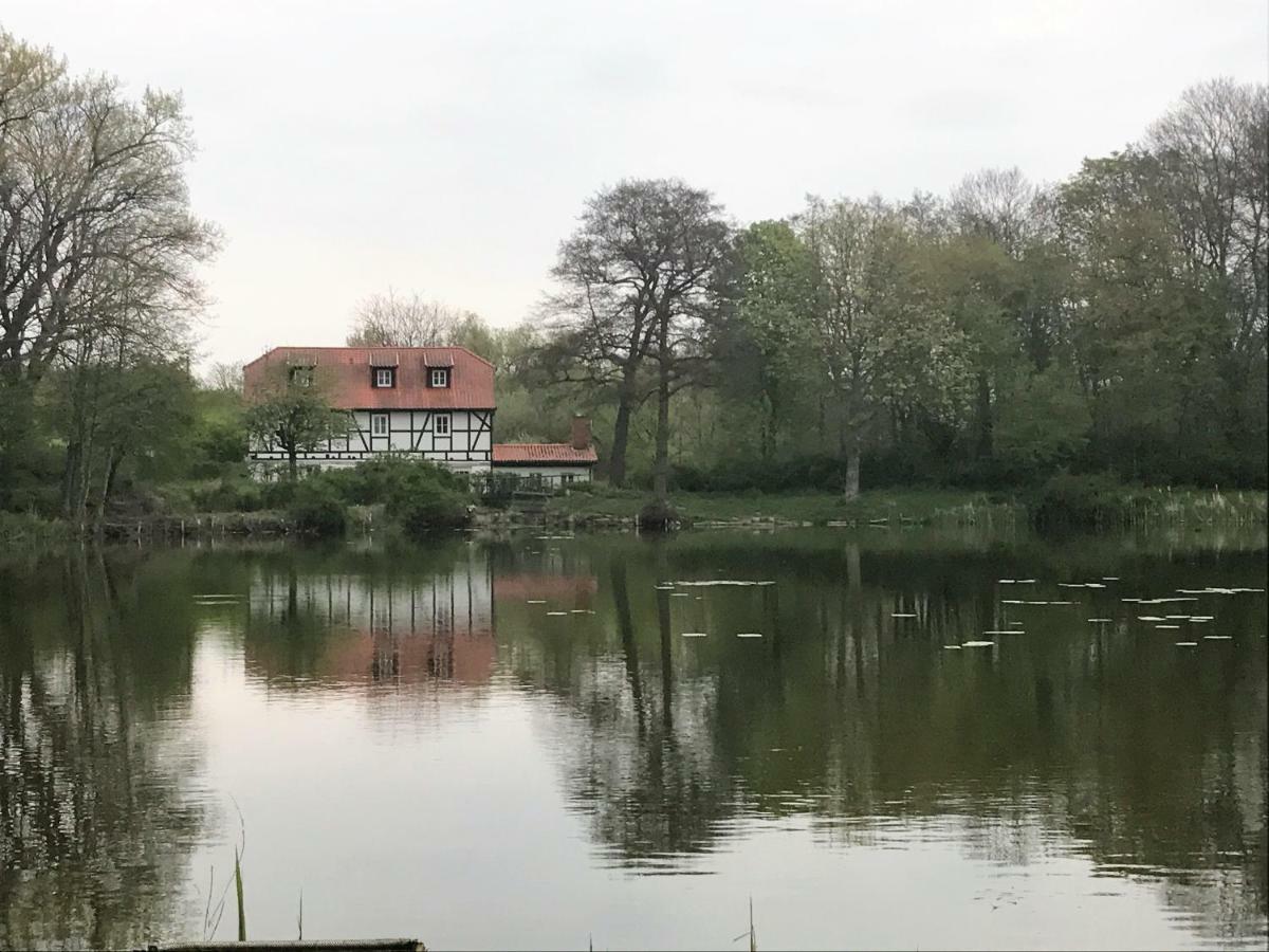 Ferienwohnung Hoppelnase mit eigener Sauna Langenstein Exterior foto