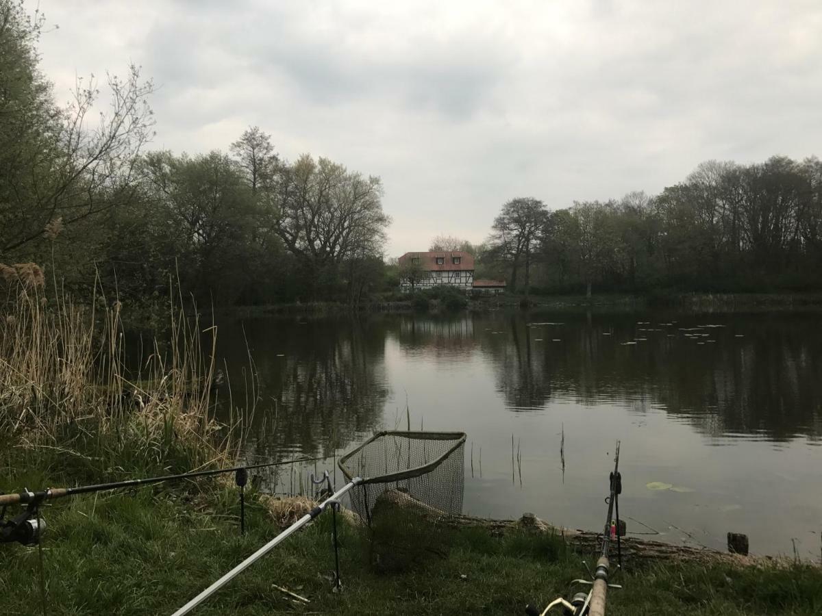 Ferienwohnung Hoppelnase mit eigener Sauna Langenstein Exterior foto